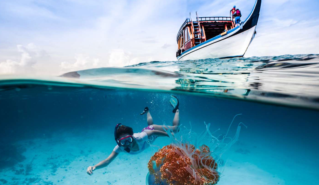 Snorkeling in Maldives